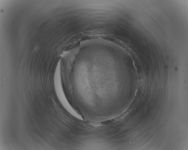 X0000084560767200703091745