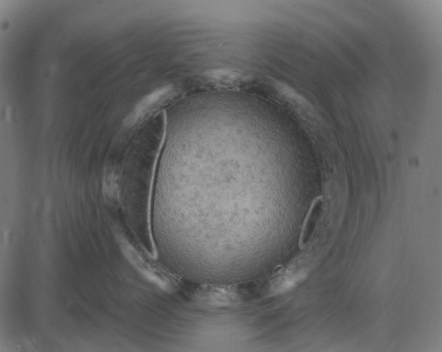 X0000084560768200703091745