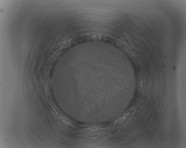 X0000084560769200703091744