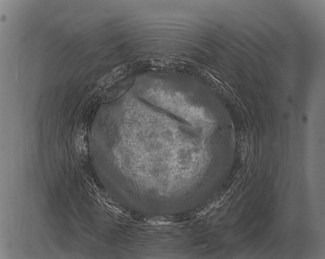 X0000084560770200703091744