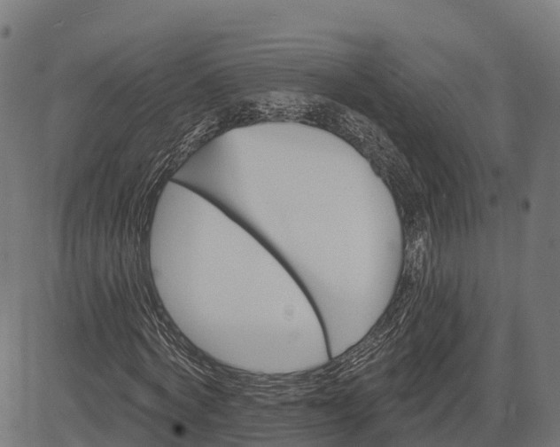 X0000084560772200703091744