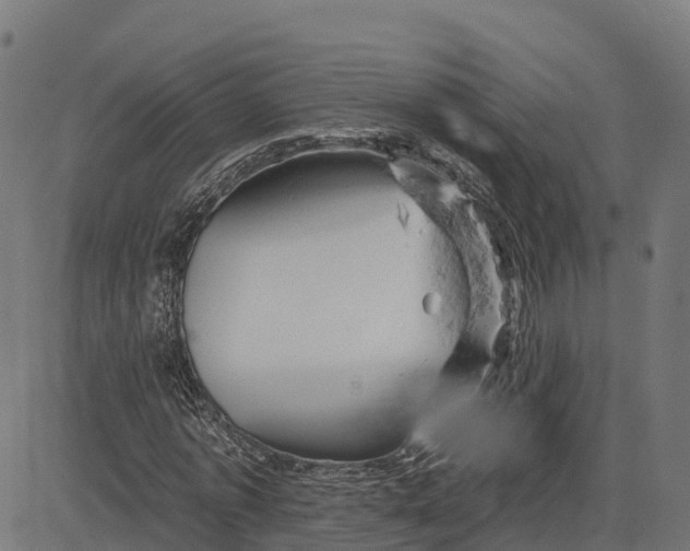 X0000084560773200703091744