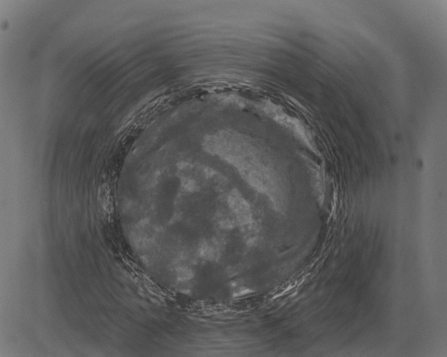 X0000084560774200703091744