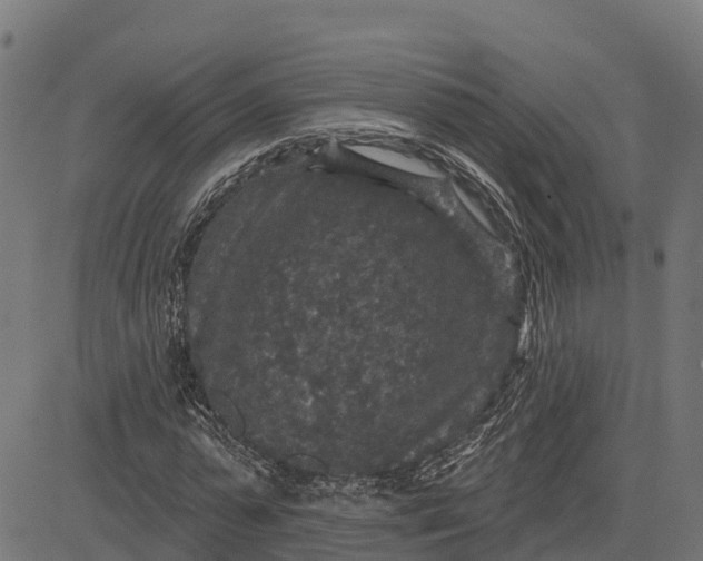 X0000084560775200703091744