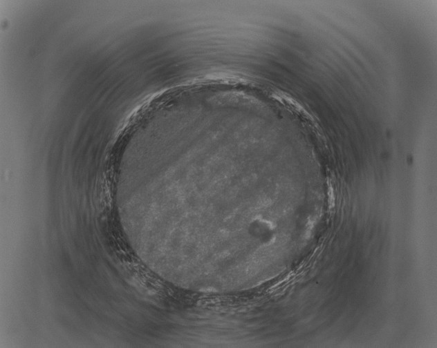 X0000084560776200703091744