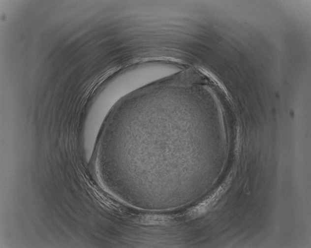 X0000084560777200703091744