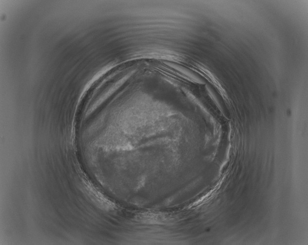 X0000084560780200703091744