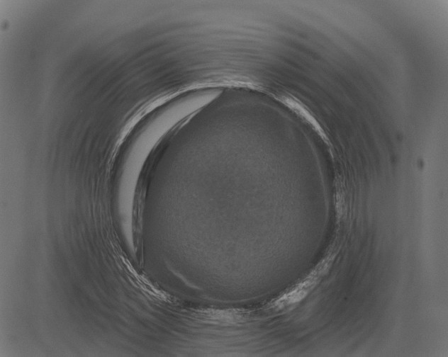 X0000084560781200703091744