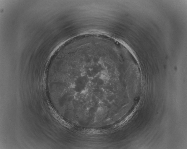 X0000084560783200703091744