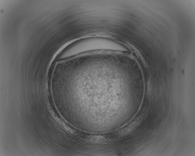 X0000084560784200703091744