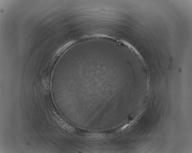 X0000084560785200703091744