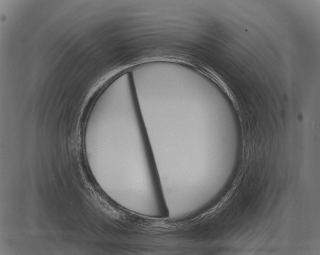 X0000084560787200703091744