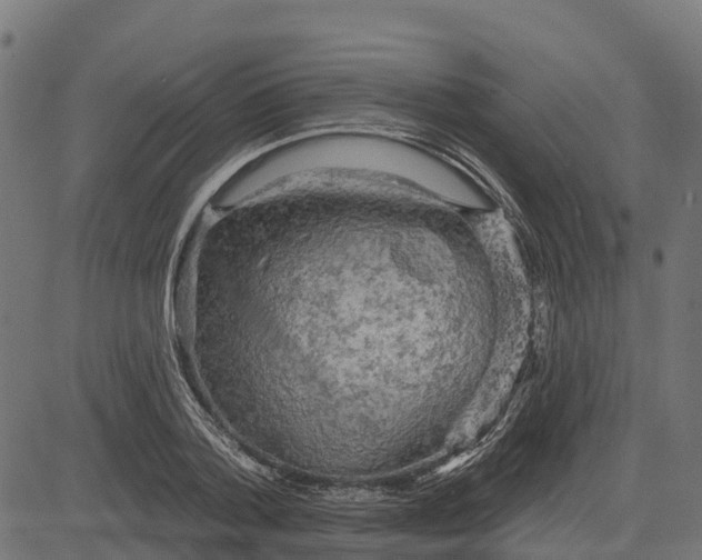 X0000084560788200703091744