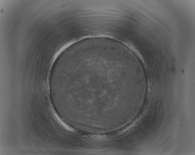 X0000084560789200703091744