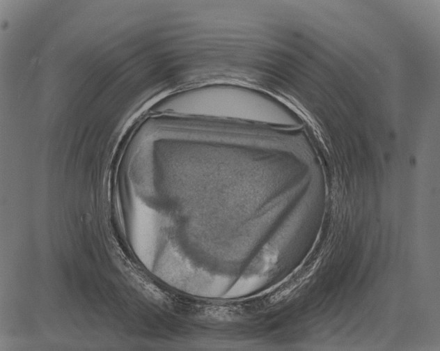 X0000084560790200703091744