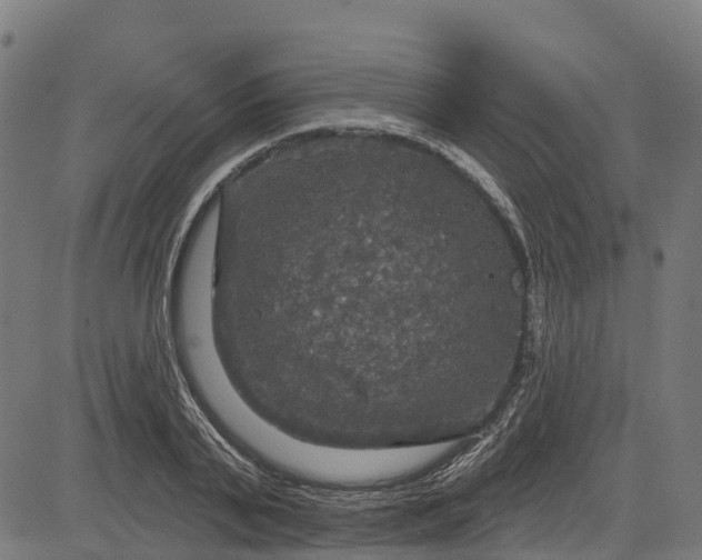 X0000084560791200703091744