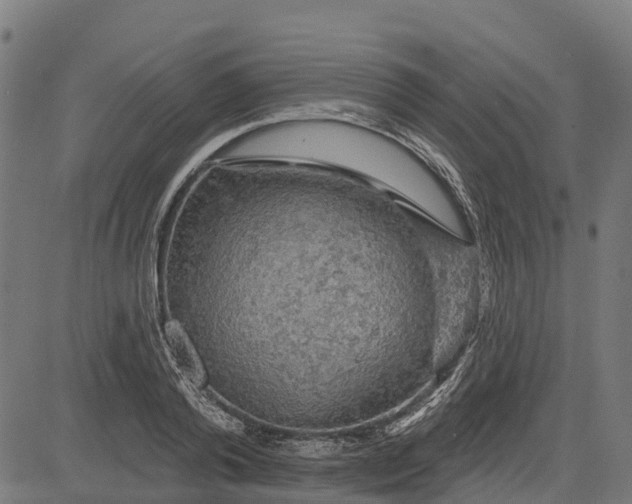 X0000084560792200703091744