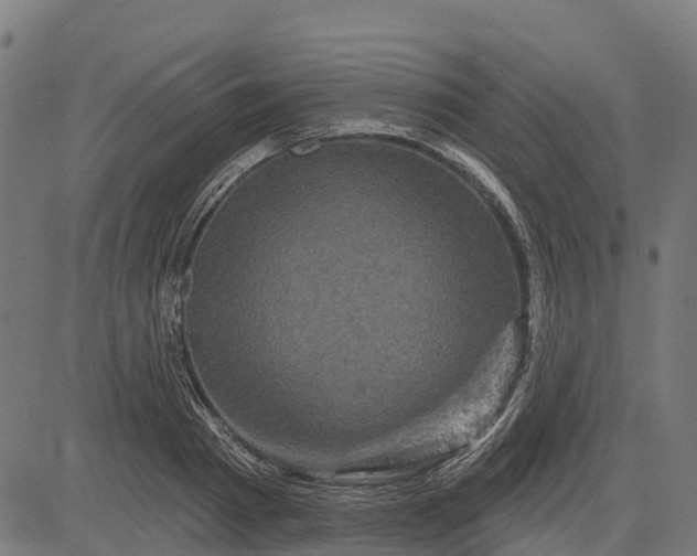 X0000084560793200703091744