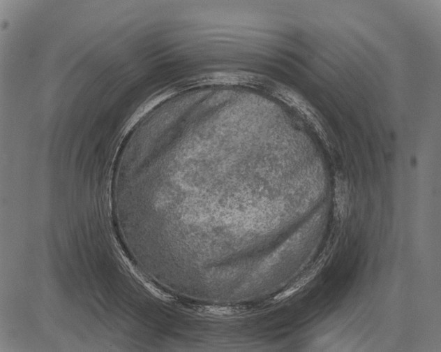 X0000084560794200703091744