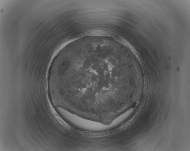 X0000084560795200703091744