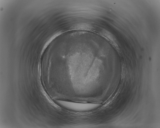 X0000084560796200703091744