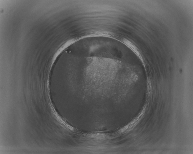 X0000084560797200703091744