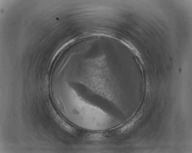 X0000084560798200703091744