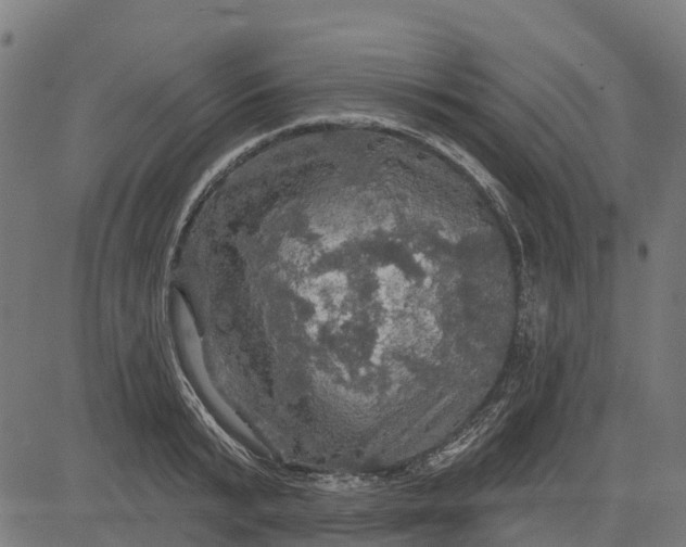 X0000084560799200703091744