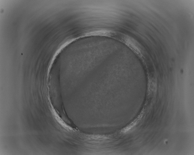 X0000084560800200703091744