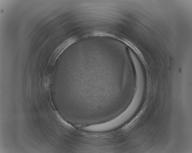 X0000084560801200703091744