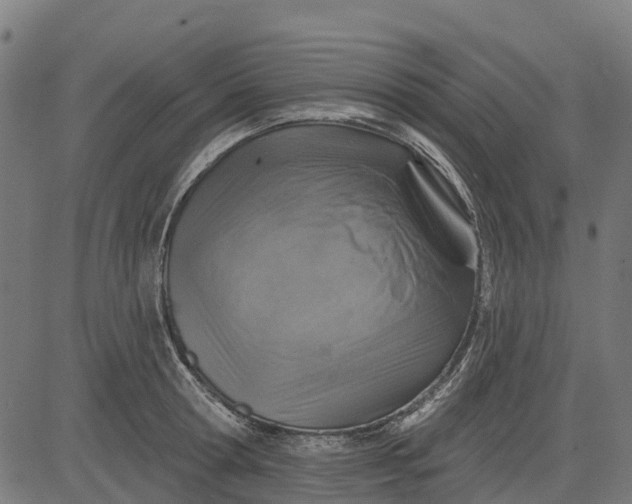 X0000084560802200703091744