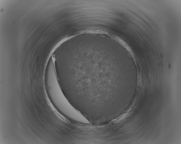 X0000084560803200703091744