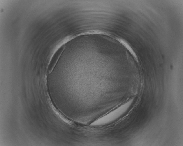 X0000084560805200703091744