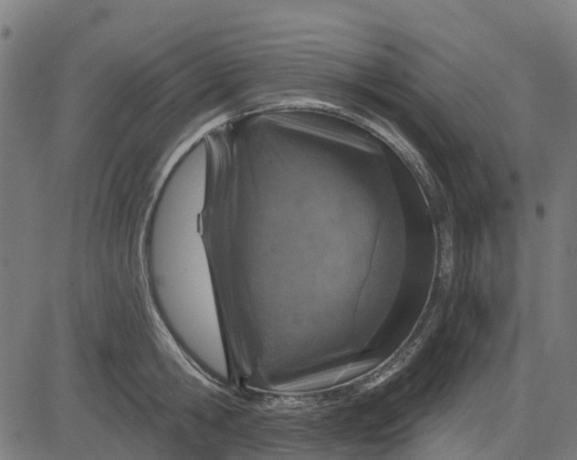 X0000084560806200703091743