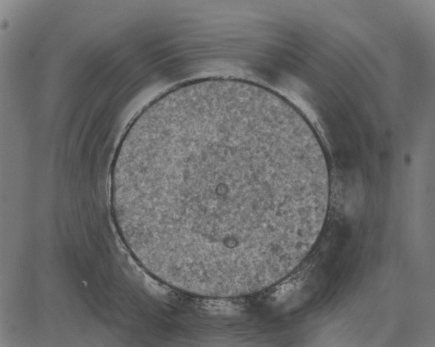 X0000084560807200703091743