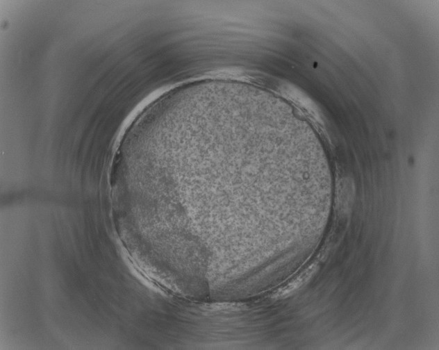 X0000084560808200703091743