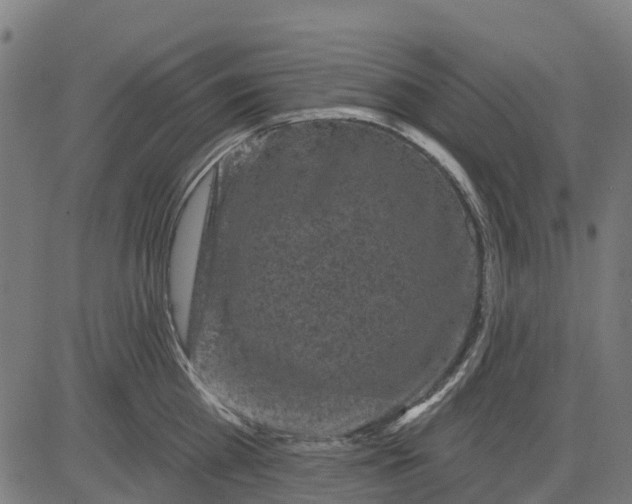 X0000084560809200703091743