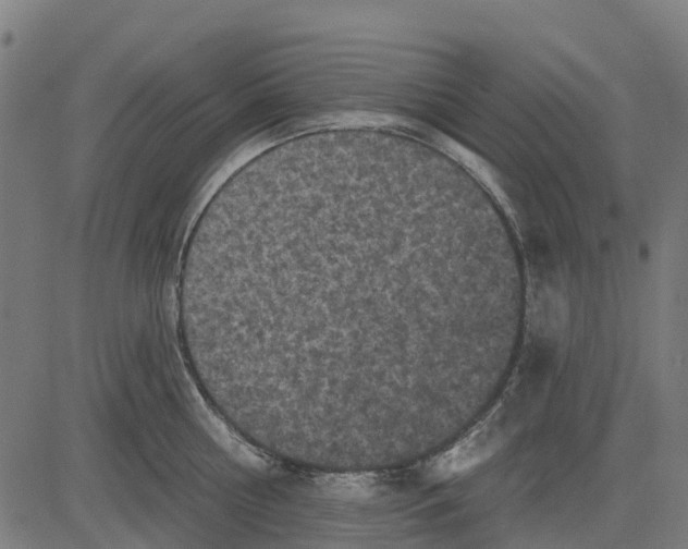 X0000084560810200703091743