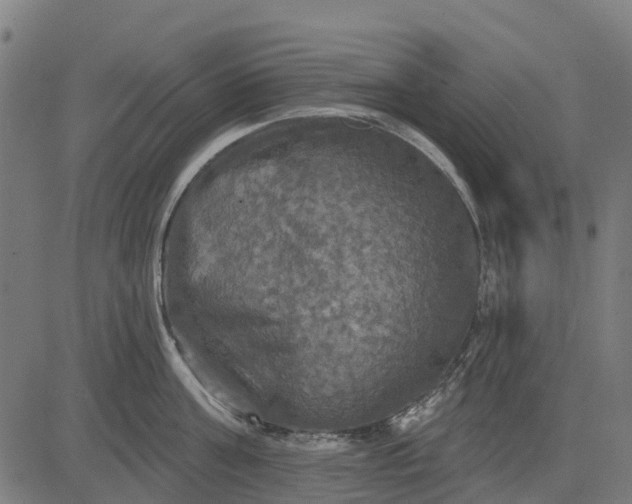 X0000084560811200703091743