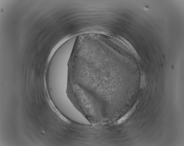 X0000084560812200703091743