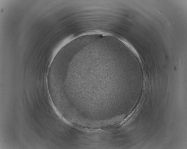 X0000084560813200703091743