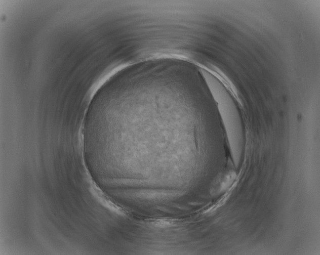 X0000084560814200703091743