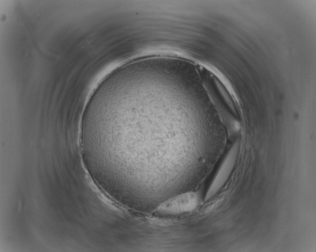 X0000084560815200703091743