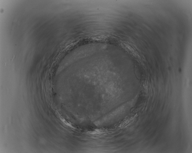 X0000084560817200703091743