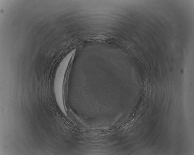 X0000084560818200703091743