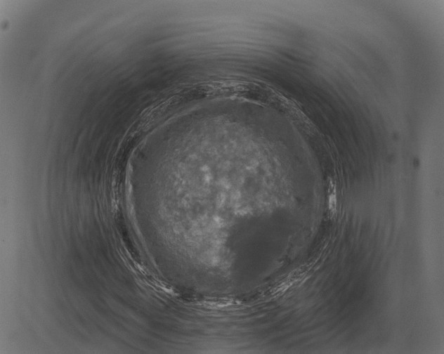 X0000084560819200703091743