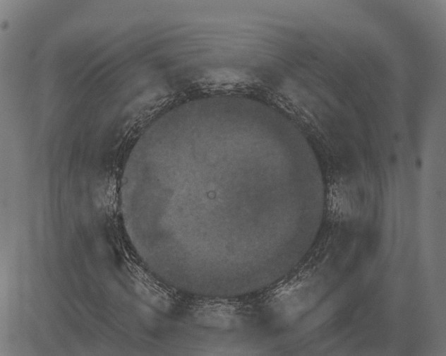 X0000084560820200703091743