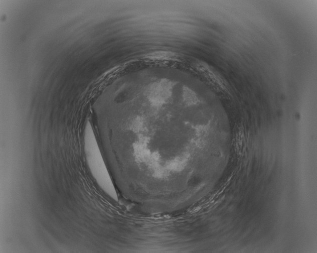 X0000084560821200703091743