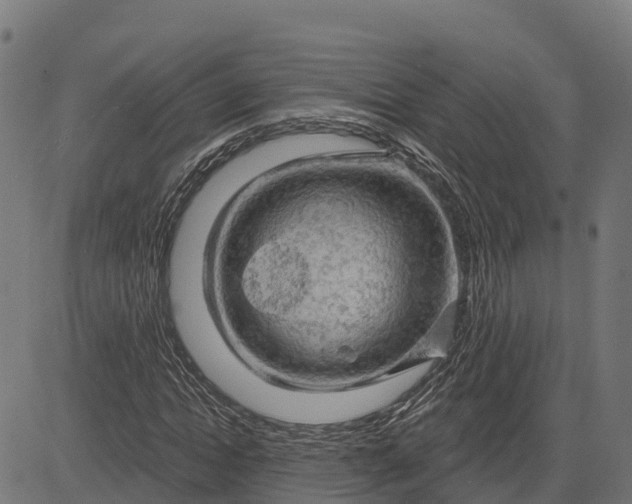 X0000084560822200703091743