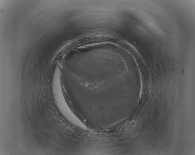 X0000084560823200703091743